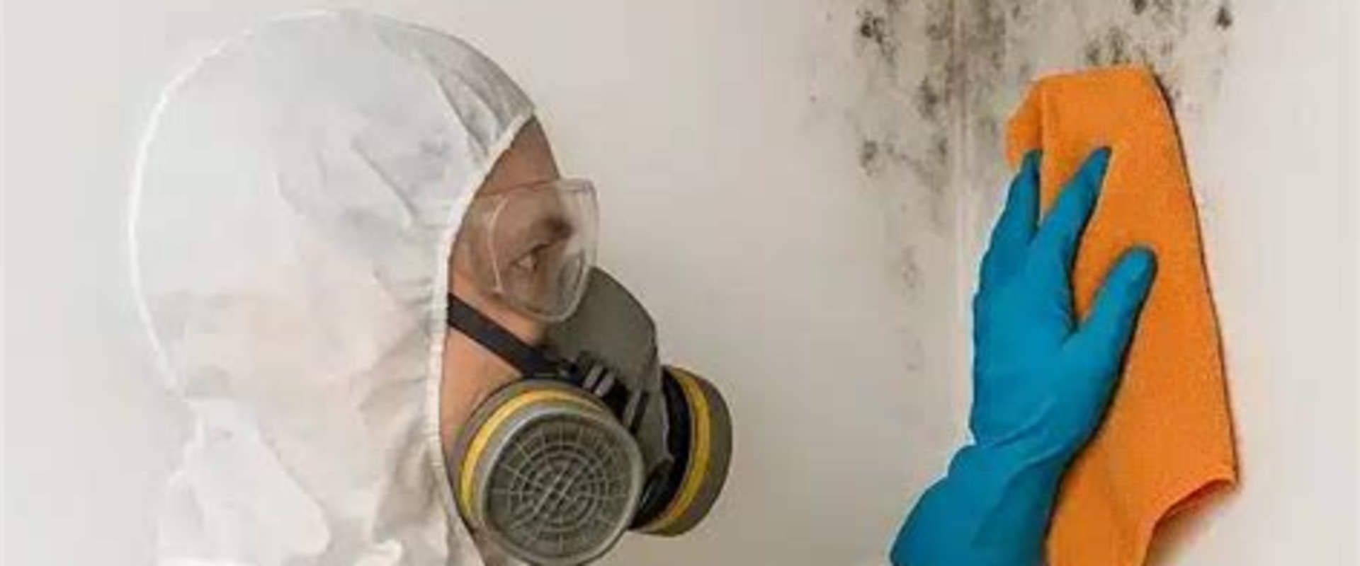 Protect Your Seattle Investment With Mold Removal Restoration and Smart Property Solutions