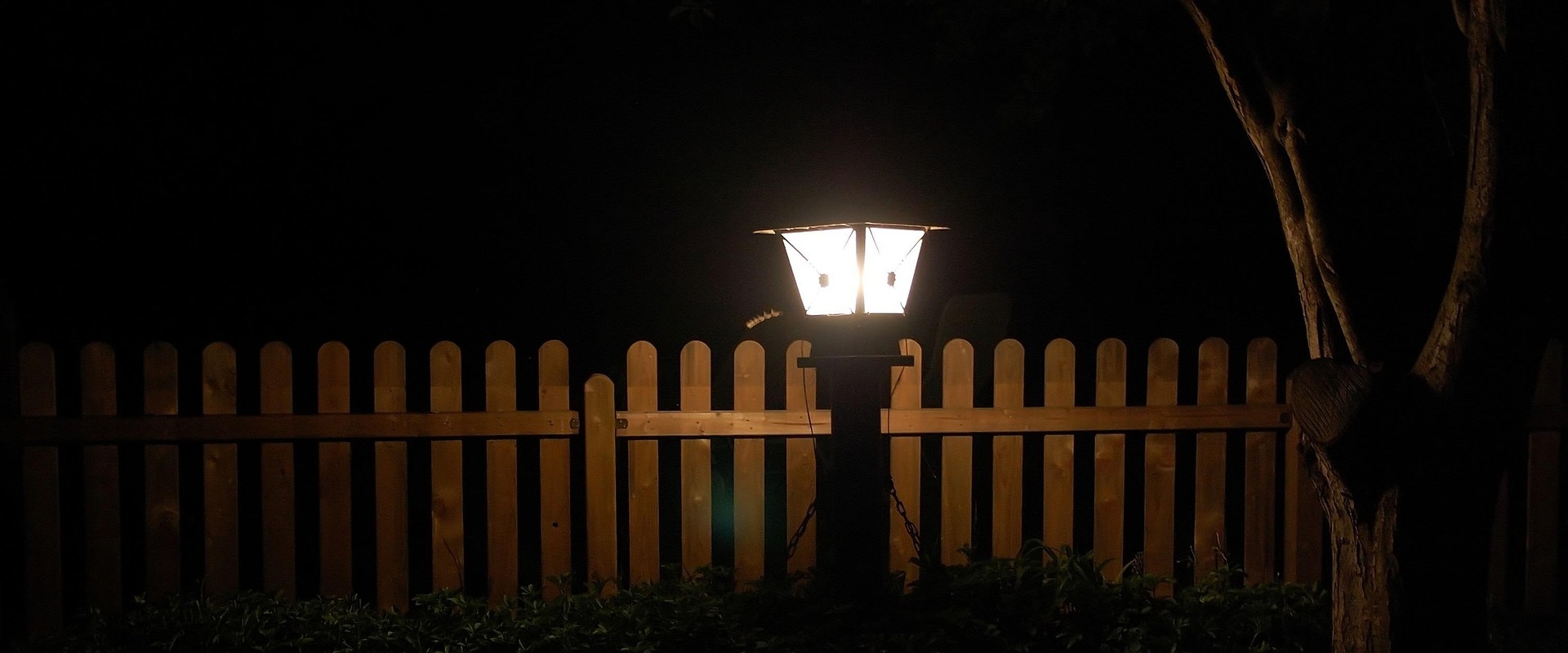 Enhance Your Miami Property with Expert Landscape Lighting