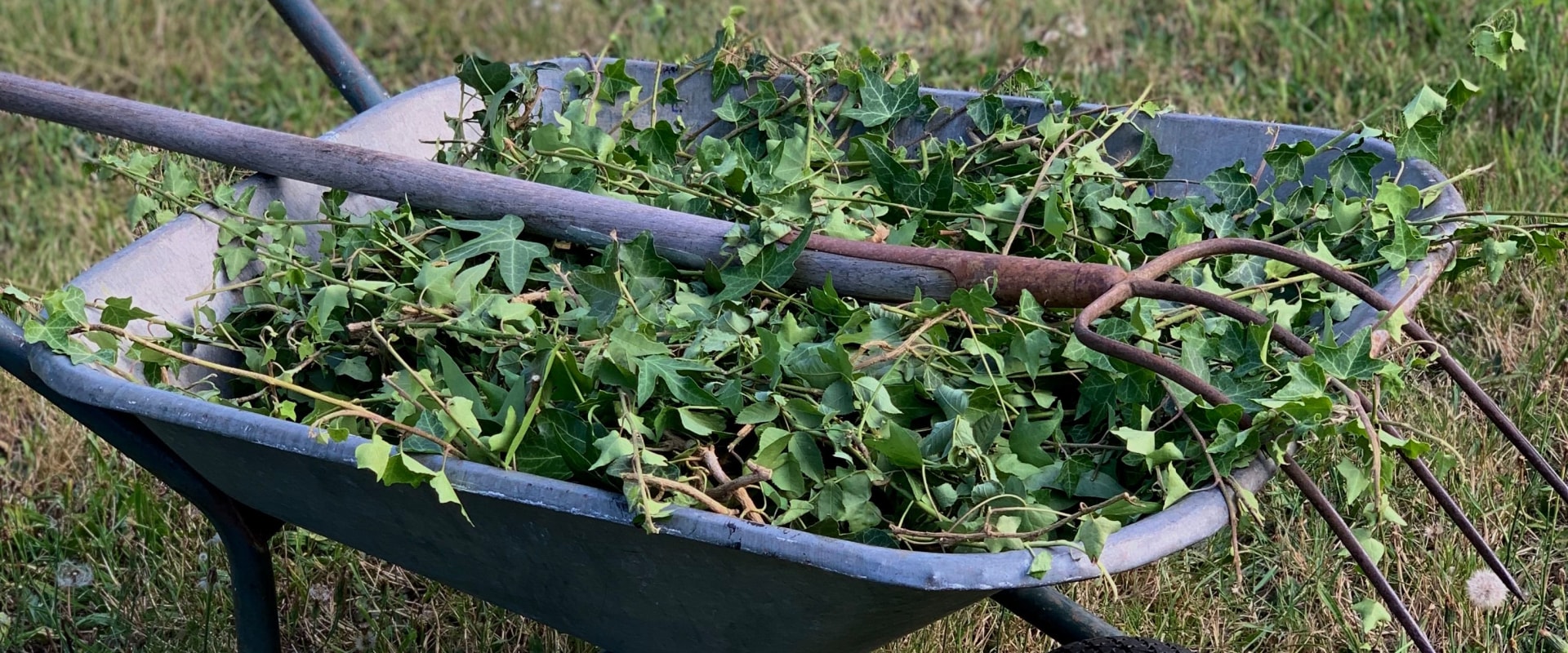 Beyond the Building: How Garden Maintenance Service Enhances Property Solutions in Rapperswil-Jona