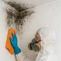 Protect Your Seattle Investment With Mold Removal Restoration and Smart Property Solutions