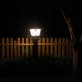 Enhance Your Miami Property with Expert Landscape Lighting