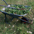 Beyond the Building: How Garden Maintenance Service Enhances Property Solutions in Rapperswil-Jona