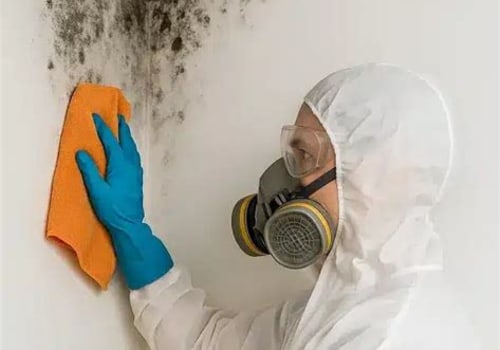 Protect Your Seattle Investment With Mold Removal Restoration and Smart Property Solutions