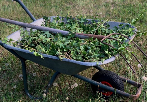 Beyond the Building: How Garden Maintenance Service Enhances Property Solutions in Rapperswil-Jona