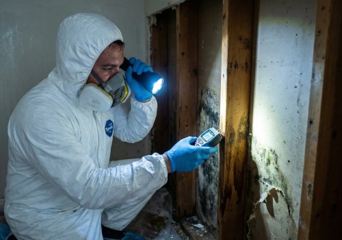 How Property Solutions Benefit from a Mold Inspection Service in St. Petersburg, FL